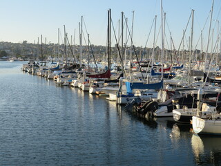 Sailboats in their slips