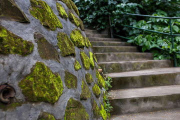 stone wall with moss outdoor stairs