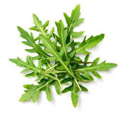 fresh arugula leaves isolated on white background, top view