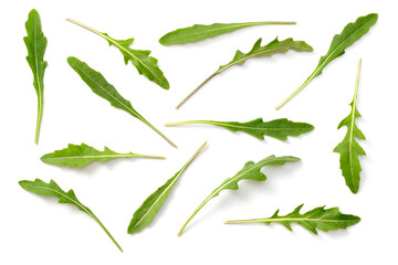 fresh rocket leaves isolated on white background, top view