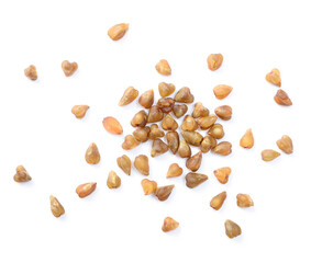 raw bitter buckwheat isolated on the white background, top view