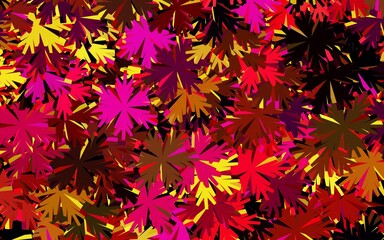 Dark Pink, Yellow vector natural background with flowers.