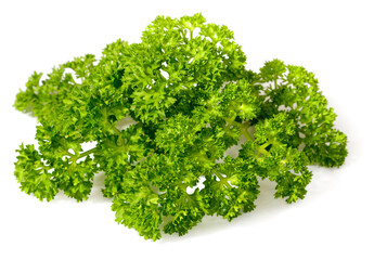 curly-leaf parsley isolated on the white background