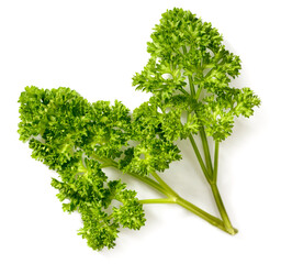 curly parsley isolated on the white background, top view