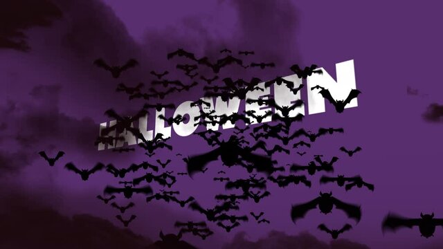 Animation of halloween greetings and bats on purple background
