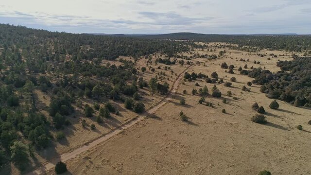 4K aerial following motorcycle racing fast down remote dirt road in desert