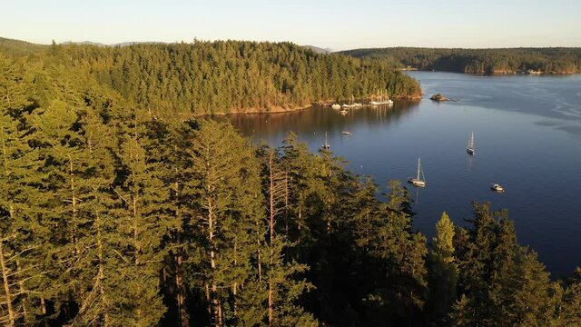 Cinematic 4K aerial drone footage of Bay Head Marina, sailboats and yachts anchored near Orcas Village by the Harney Channel in the San Juan Islands in Washington