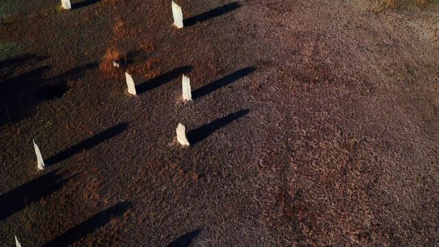 Sunlight Illuminates Through Magnetic Termite Mounds At Sunset In Litchfield National Park, Northern Territory, Australia. - Aerial Drone