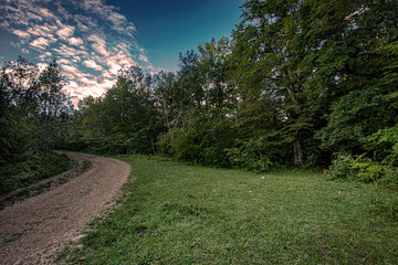 Obraz premium path in the mountains