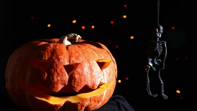 Halloween jack pumpkin and skeleton on black background 