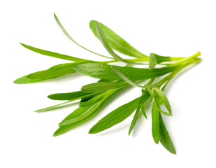 fresh tarragon herb isolated on the white background