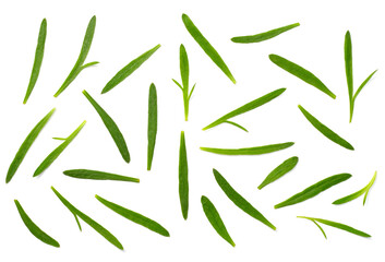 fresh tarragon leaves isolated on the white background, top view