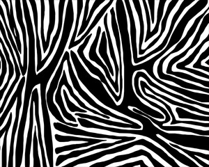 Vector zebra skin texture.