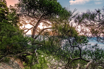 sunset in the mountains