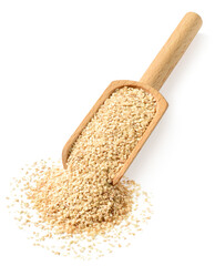 Fototapeta na wymiar raw wheat germ in the wooden scoop, isolated on the white background