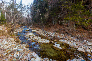 Autumn forest in the Primorsky Territory. A clean river flows into the village among tall trees.