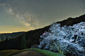 長野県阿智村にある駒つなぎの桜と天の川