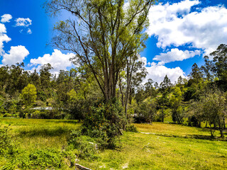 Verano en las montañas