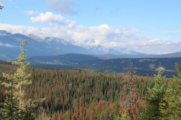 September On The Land, Jasper National Park, Alberta