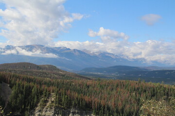 Fototapeta na wymiar The Blue Ridge, Jasper National Park, Alberta