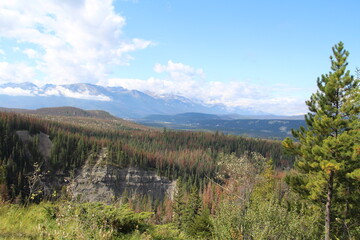 Edge Of The Lookout, Jasper National Park, Alberta