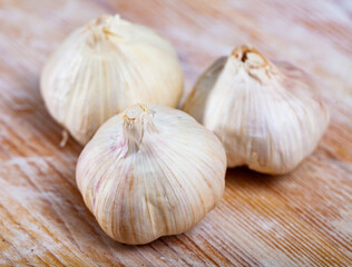 Raw organic whole bulbs of garlic on wooden surface..