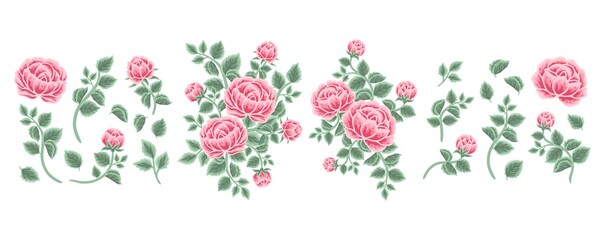 Set of rose, peony flower, leaf branch, feminine floral bouquet arrangements