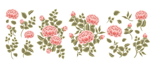 Set of vintage botanical rose, peony flower, leaf branch, feminine floral bouquet arrangements
