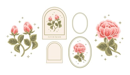 Vector feminine logo design template in trendy minimal style. Vintage orange rose bud, peony flowers and botanical leaf branch set. Emblem, symbols and icons for cosmetics, beauty and handmade product