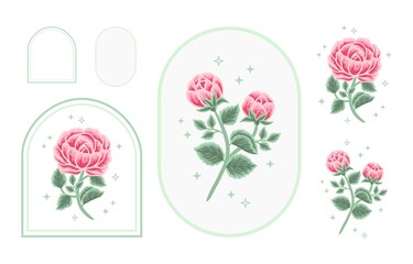 Set of vintage feminine beauty rose peony floral logo elements with frame for women