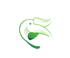 green bird logo design template