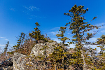 The triangular sign stands on a rocky ridge in the Primorsky Territory. Autumn nature of Russia.