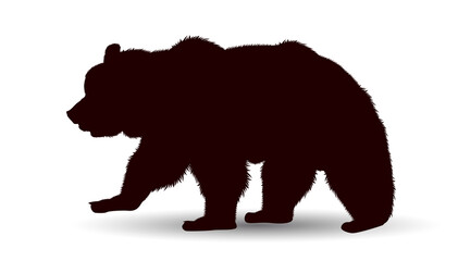Obraz na płótnie Canvas Wildlife bear. Silhouette of a large adult bear on a white background
