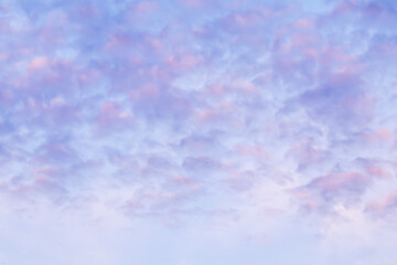 Background of blue sky with pale pink clouds in sunset