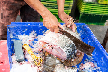 fish in the market