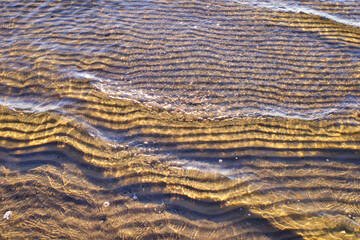 Neon water in shallow water. Ribbed sandy bottom.