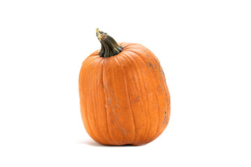 One orange color pumpkin with stem isolated over white background