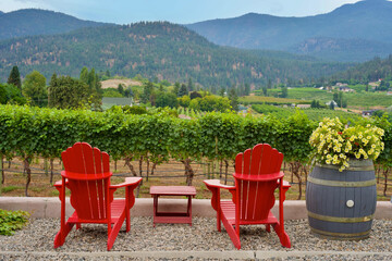  Vineyard and two red chairs overlooking an expanse of wine grapes in the Okanagan valley, British...