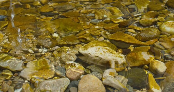 Hand Picking Stone From A Crystal Clear Shallow River By The Gorges du Tarn Near Aveyron In Southern France. Closeup