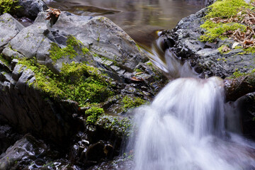 Fototapeta premium waterfall in the forest
