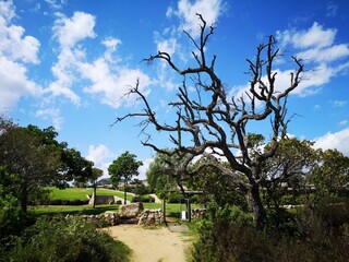 Sardinien, Natur und Strände