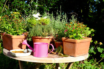 Pflanztisch mit Blumenkästen und Gieskanne