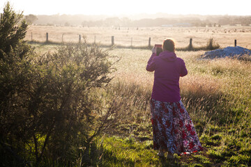 In early foggy morning,woman photographs kangaroo in orange field in Australia