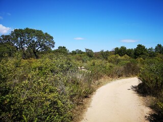Sardinien, Natur und Strände