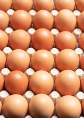 Farm eggs in their cardboard packaging.
