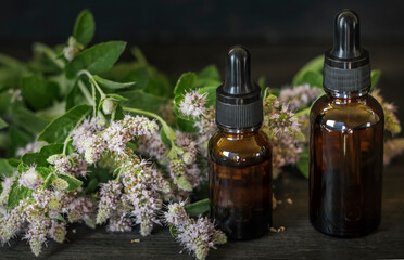 Essential aroma oil with peppermint on wooden background