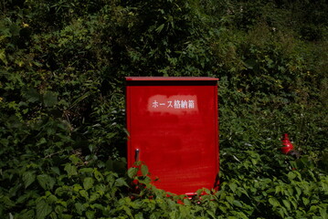 草に覆われているホース格納箱と消火栓