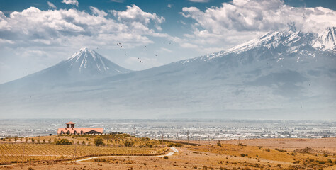 A fertile valley at the foot of the huge Mount Ararat with a manor house with numerous vineyards in...