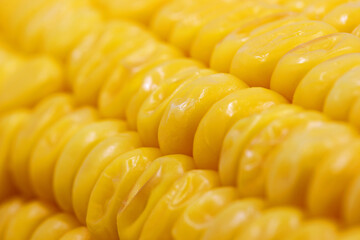 close-up boiled corn on the cob