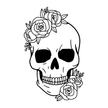 Skull with flowers, with roses. Human skull portrait with floral wreath. Vector illustration isolated on white background. Sugar skull floral print for Halloween.